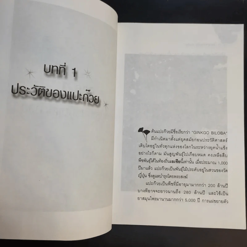 แปะก๊วย - มานพ ประภาษานนท์ รูปที่ 12