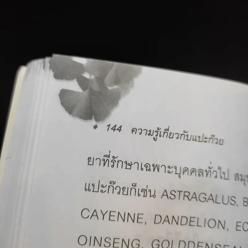 แปะก๊วย - มานพ ประภาษานนท์ รูปที่ 13