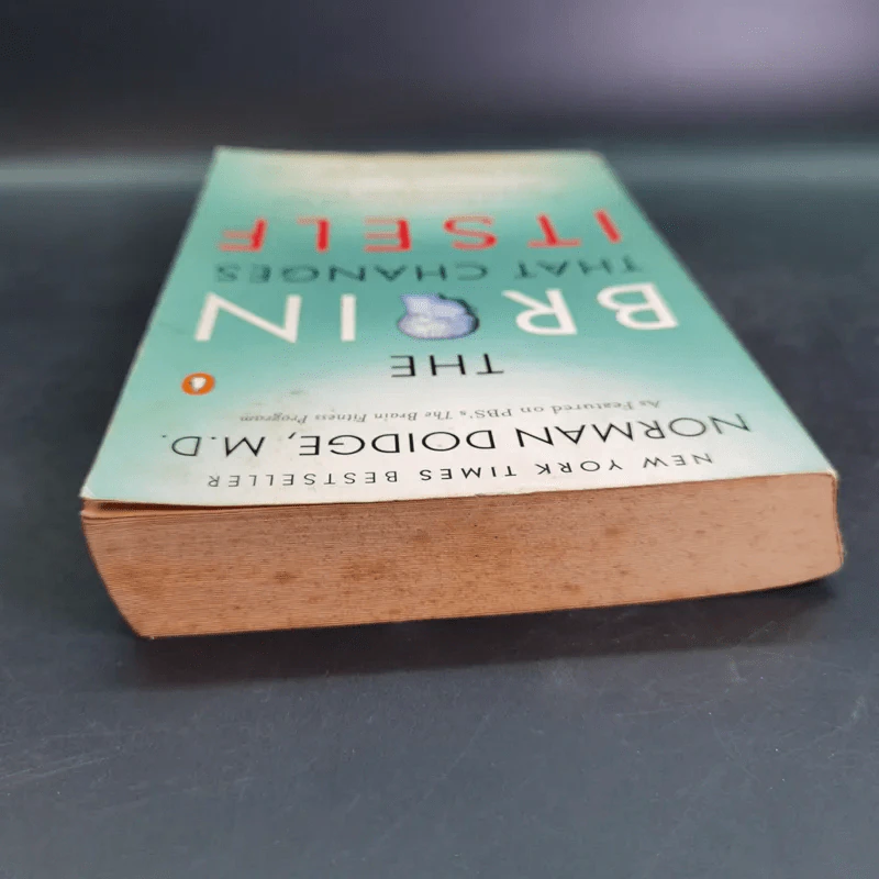 The Brain That Changes Itself - Norman Doidge,M.D. รูปที่ 6