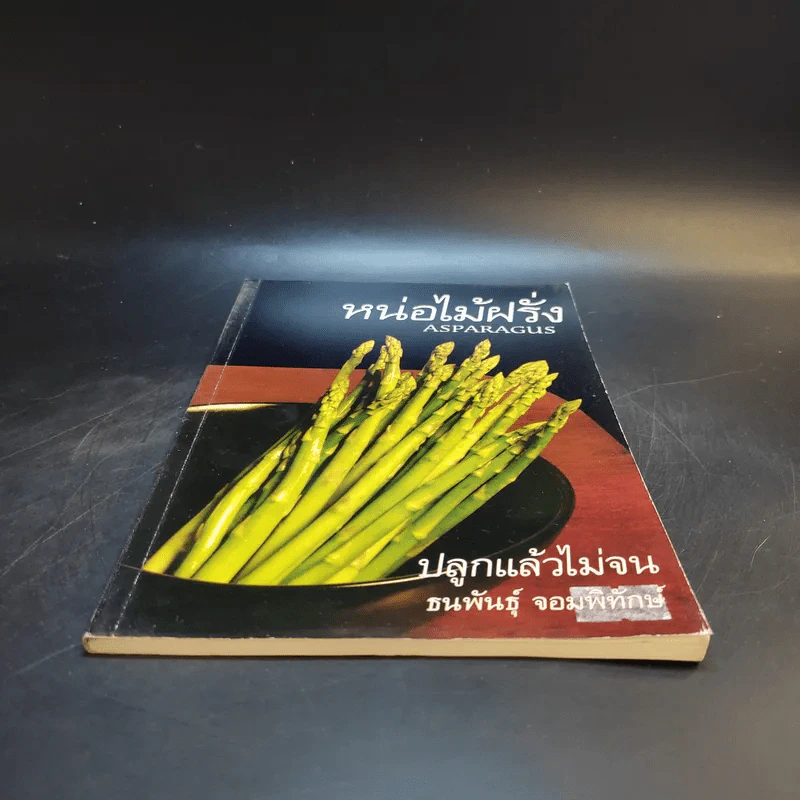 หน่อไม่ฝรั่ง Asparagus - ธนพันธุ์ จอมพิทักษ์ รูปที่ 4