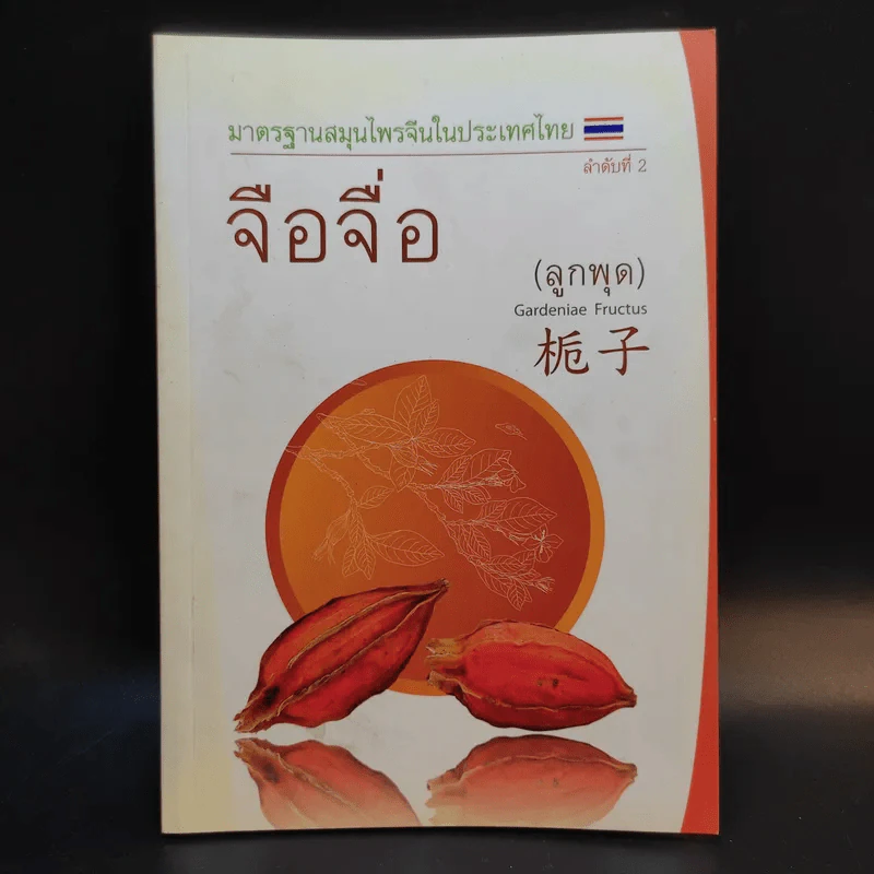 จือจื่อ (ลูกพุด) มาตรฐานสมุนไพรจีนในประเทศไทย รูปที่ 1