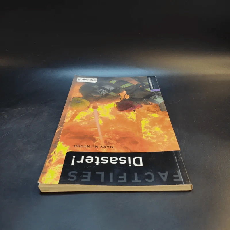 Disaster - Mary McIntosh รูปที่ 6