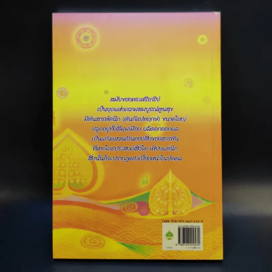 พระบรมโพธิสัตว์ ศรีอริยเมตไตรย - ปัญญาวัฒน์ รูปที่ 2