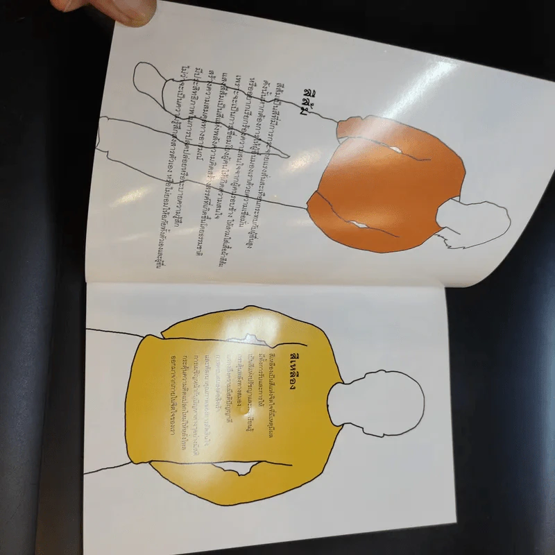 พลังแห่งสีสันเพื่อชีวิตที่ดีกว่า รูปที่ 9