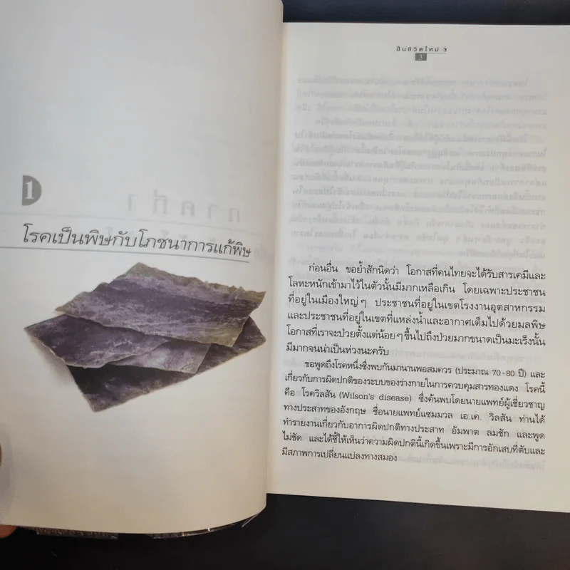 ปั้นชีวิตใหม่ด้วยชีวจิต เล่ม 3 - สาทิส อินทรกำแหง รูปที่ 11