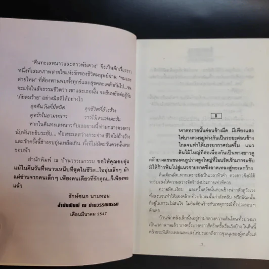 คืนทะเลหนาวและดาวพันดวง - ช่อลัดา รูปที่ 10