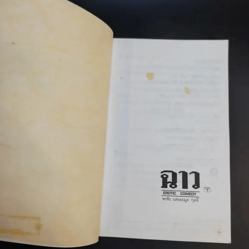 ฉาว Vol.12 - พรชัย แสนยะมูล (กุดจี่) รูปที่ 8