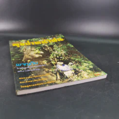 ลุยป่าหน้าฝน Amazing Thailand 1998-1999 รูปที่ 4