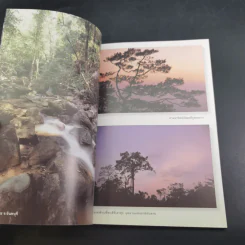 ลุยป่าหน้าฝน Amazing Thailand 1998-1999 รูปที่ 8