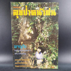 ลุยป่าหน้าฝน Amazing Thailand 1998-1999 รูปที่ 1