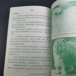 ตำราเลี้ยงบำรุงสุนัข รูปที่ 10