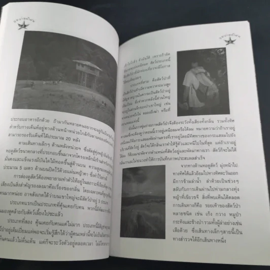 ลุยป่าหน้าฝน Amazing Thailand 1998-1999 รูปที่ 12