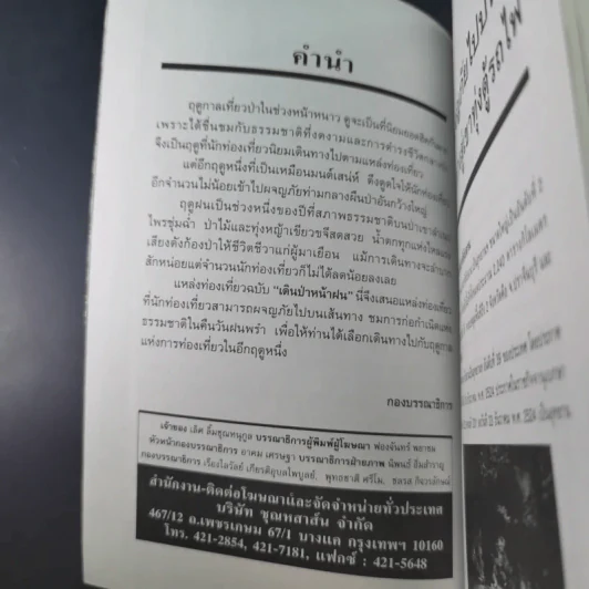ลุยป่าหน้าฝน Amazing Thailand 1998-1999 รูปที่ 10