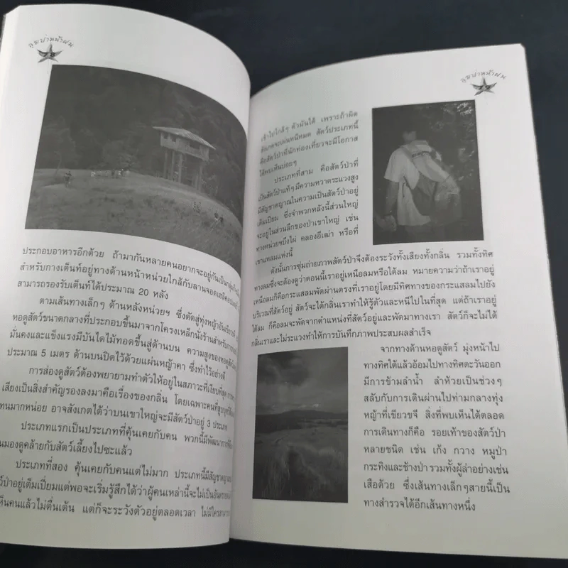 ลุยป่าหน้าฝน Amazing Thailand 1998-1999 รูปที่ 12