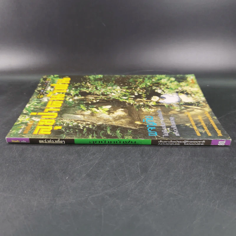 ลุยป่าหน้าฝน Amazing Thailand 1998-1999 รูปที่ 3
