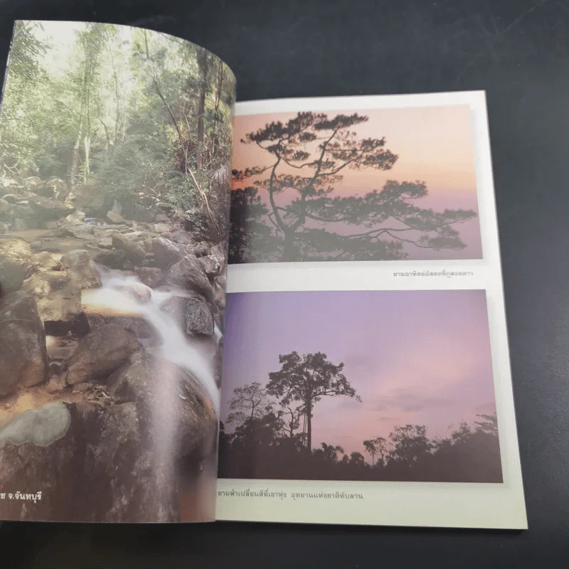 ลุยป่าหน้าฝน Amazing Thailand 1998-1999 รูปที่ 8