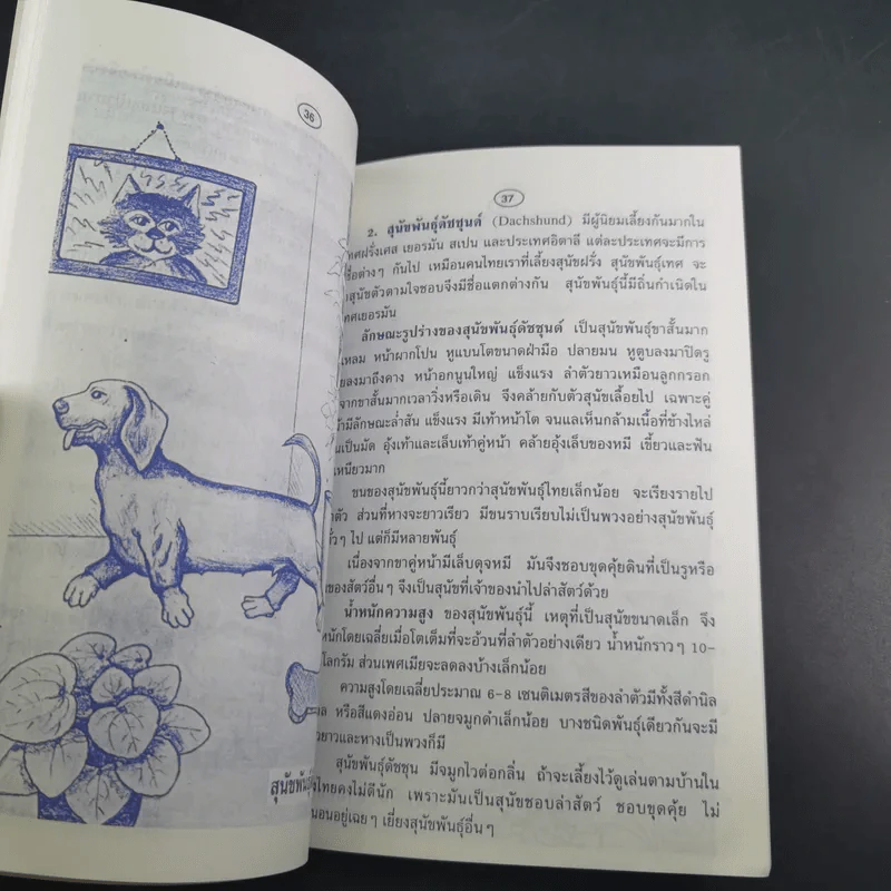 ตำราเลี้ยงบำรุงสุนัข รูปที่ 9