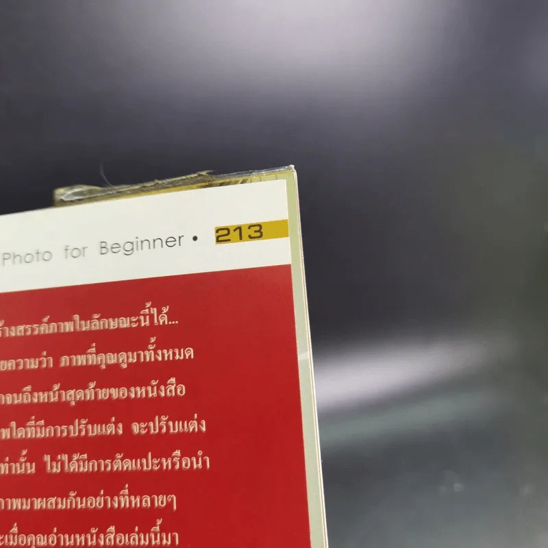 Basic Dramatic Photo for Beginner พื้นฐานการถ่ายภาพมีชีวิตเชิงปฏิบัติ - ไม้หลัก รูปที่ 16