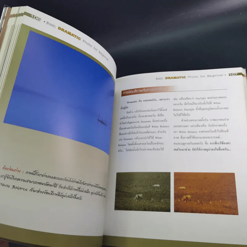 Basic Dramatic Photo for Beginner พื้นฐานการถ่ายภาพมีชีวิตเชิงปฏิบัติ - ไม้หลัก รูปที่ 14
