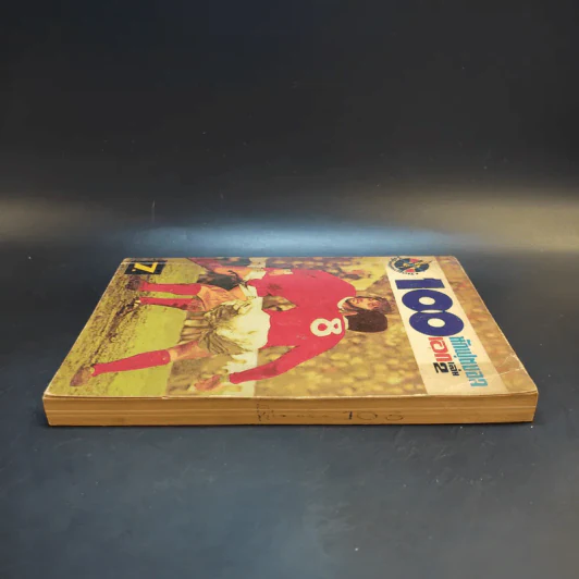 101 นักฟุตบอลเอก เล่ม 2 รูปที่ 5