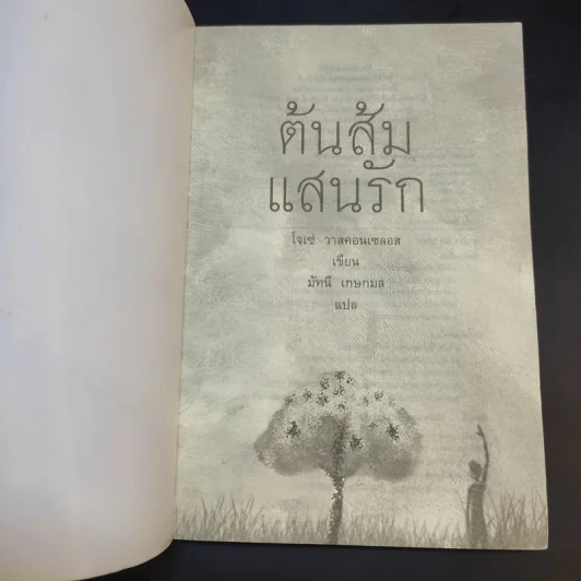 ต้นส้มแสนรัก - โจเซ่ วาสคอนเซลอส รูปที่ 8
