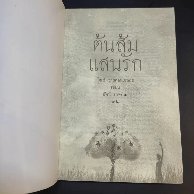 ต้นส้มแสนรัก - โจเซ่ วาสคอนเซลอส รูปที่ 8