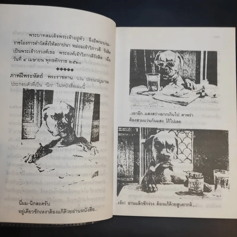 นิกกับพิม - ว.ณ ประมวลมารค รูปที่ 10