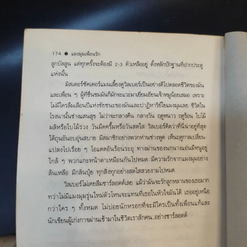 แมงมุมเพื่อนรัก - อี บี ไวท์ รูปที่ 15