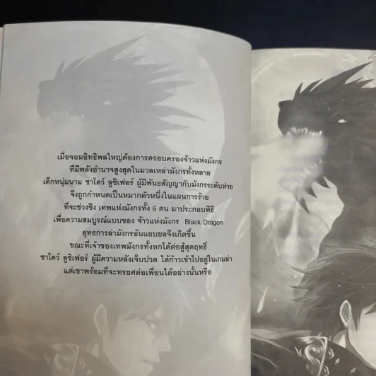 Mission of Dragon ยอดคนเทพมังกร - ชาโดว์ รูปที่ 9