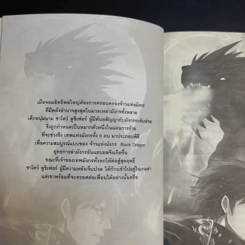 Mission of Dragon ยอดคนเทพมังกร - ชาโดว์ รูปที่ 9