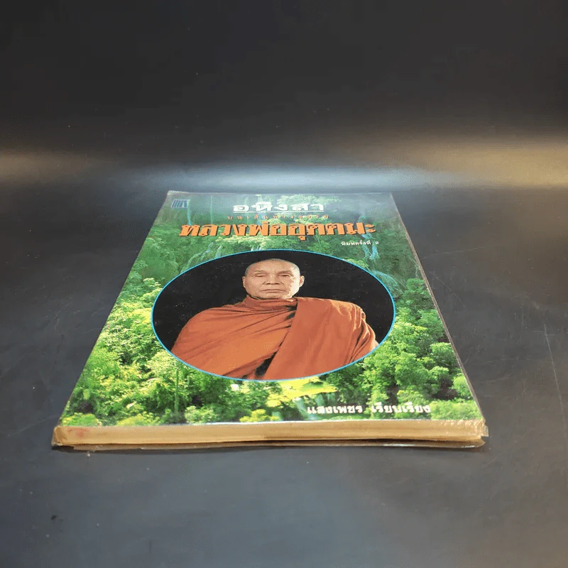 อหิงสา บทเส้นทางธรรม หลวงพ่ออุตตมะ - แสงเพชร รูปที่ 4