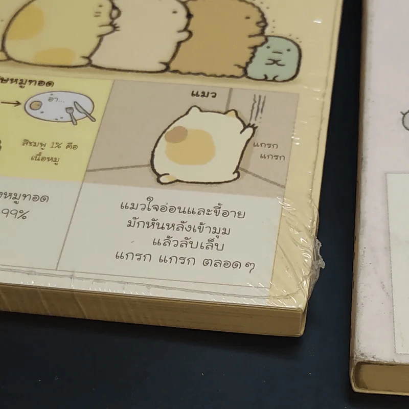 ซุมิกโกะ ก๊วนเพื่อนติดมุม แบบนี้แหละดีแล้ว + เพราะตรงนี้อุ่นใจจ้ะ รูปที่ 16