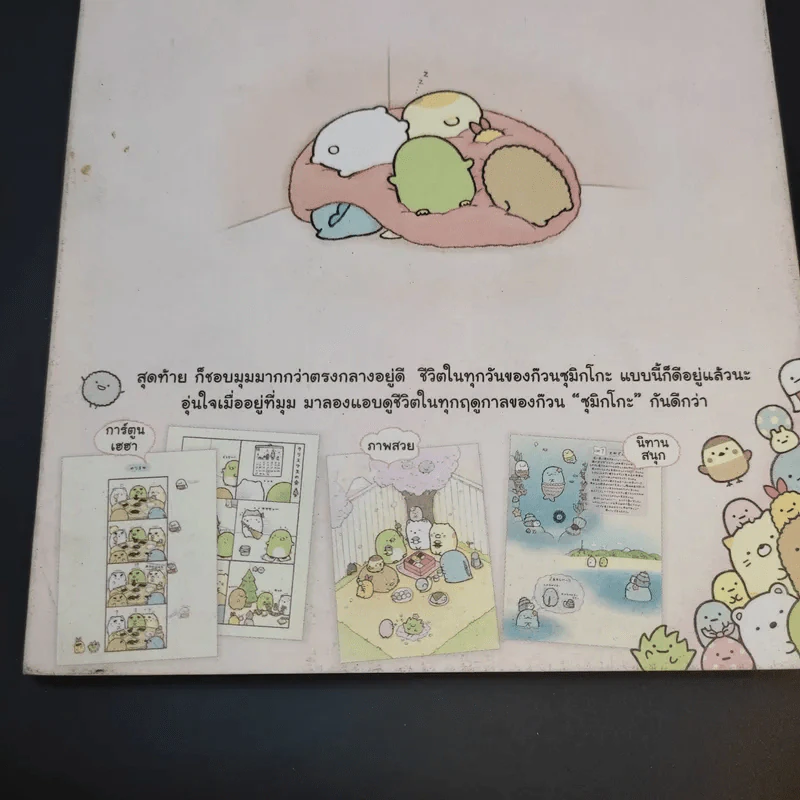 ซุมิกโกะ ก๊วนเพื่อนติดมุม แบบนี้แหละดีแล้ว + เพราะตรงนี้อุ่นใจจ้ะ รูปที่ 14