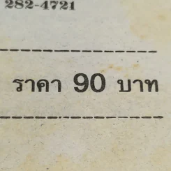 พิกุลเนื้อเก้า - นลิน บุษกร รูปที่ 12