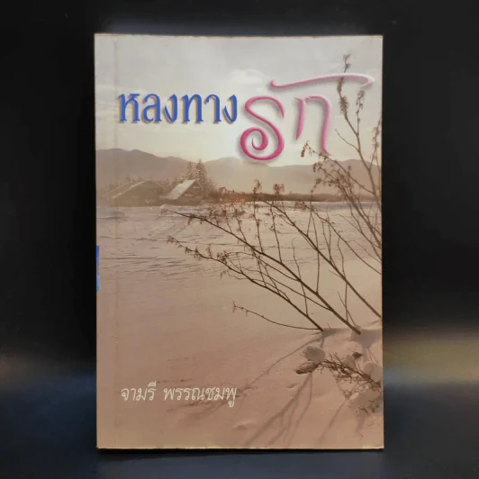 หลงทางรัก - จามรี พรรณชมพู รูปที่ 1