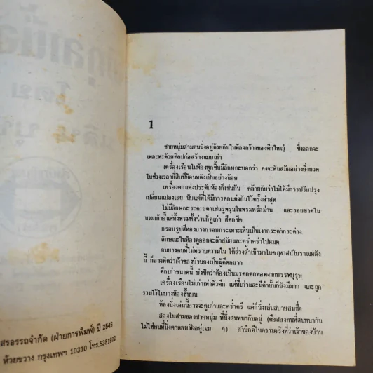 พิกุลเนื้อเก้า - นลิน บุษกร รูปที่ 9