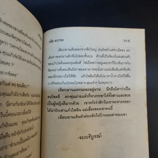 แก้วไพลิน - วลัย นวาระ รูปที่ 11