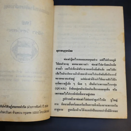 พ่อเฒ่ากับเจ้าหนู - วชิรา วัชรวัลลภ รูปที่ 9
