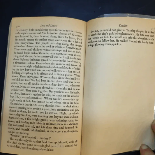 Sons and Lovers - D. H. Lawrence รูปที่ 11