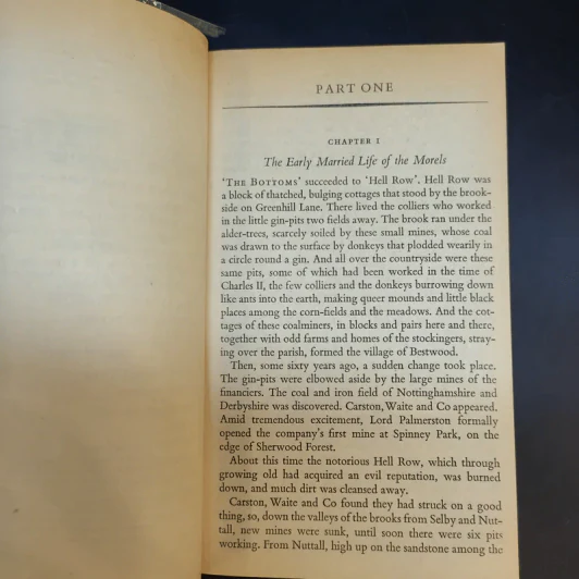 Sons and Lovers - D. H. Lawrence รูปที่ 10