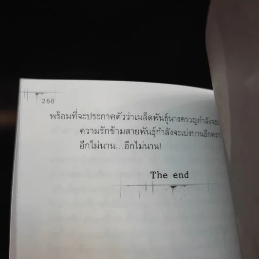 นิยาย 4 ทิศตาย นางครวญ - ภาคินัย รูปที่ 15