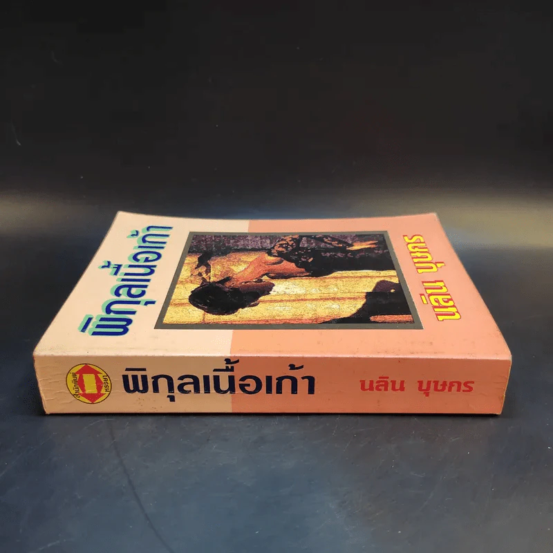 พิกุลเนื้อเก้า - นลิน บุษกร รูปที่ 3