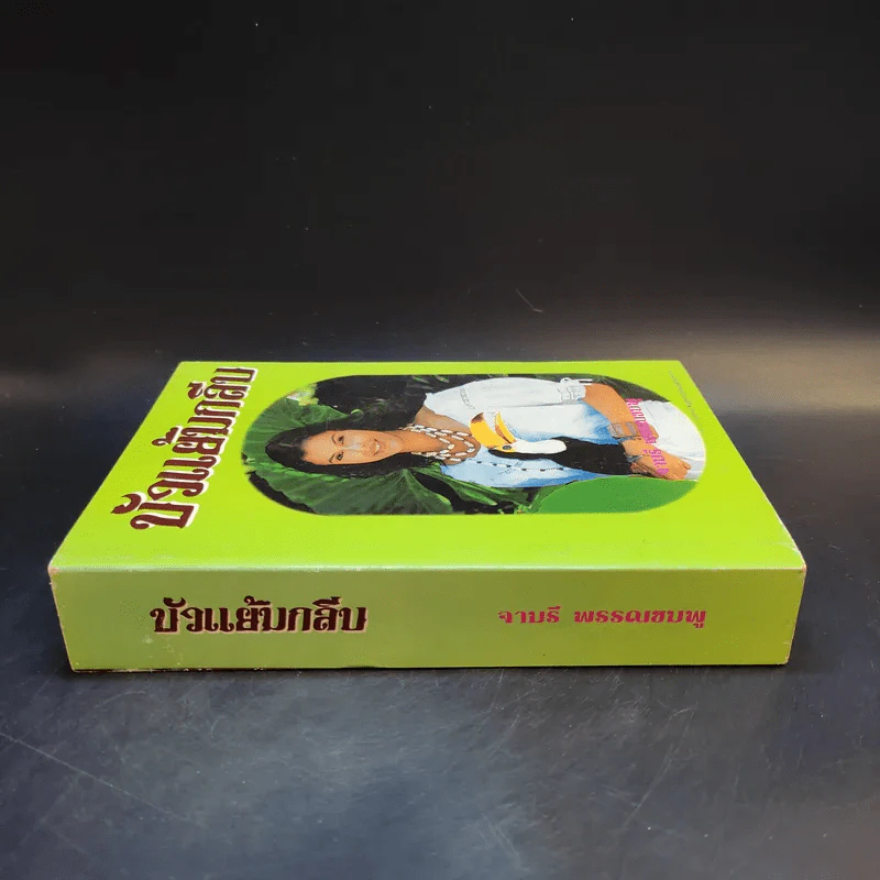 บัวแย้มกลีบ - จามรี พรรณชมพู รูปที่ 3