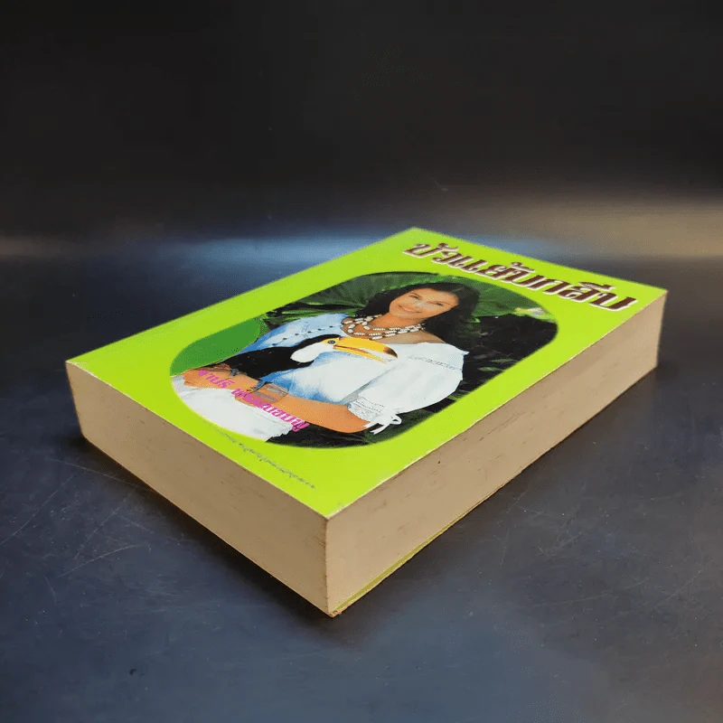 บัวแย้มกลีบ - จามรี พรรณชมพู รูปที่ 7