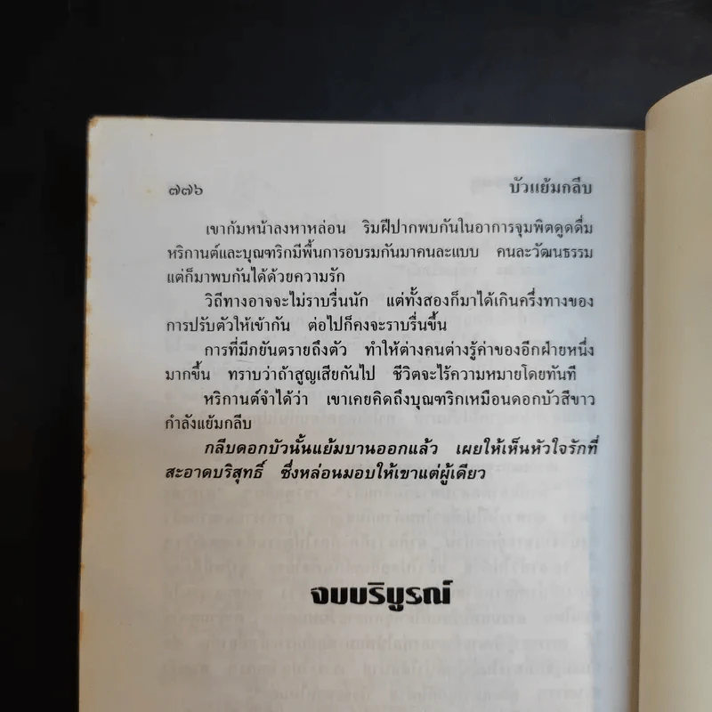 บัวแย้มกลีบ - จามรี พรรณชมพู รูปที่ 12
