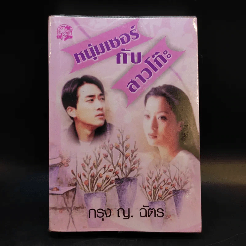 หนุ่มเซอร์กับสาวโก๊ะ - กรุง ญ. ฉัตร รูปที่ 1