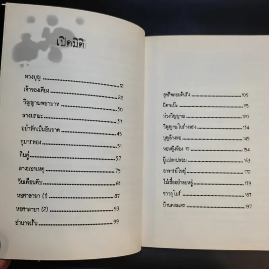 ไม่เชื่อได้ แต่ลบหลู่ไม่ได้ - นันทวัน รูปที่ 12