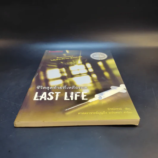 ชีวิตสุดท้ายที่เหลือรอด Last Life - EniGmo รูปที่ 4
