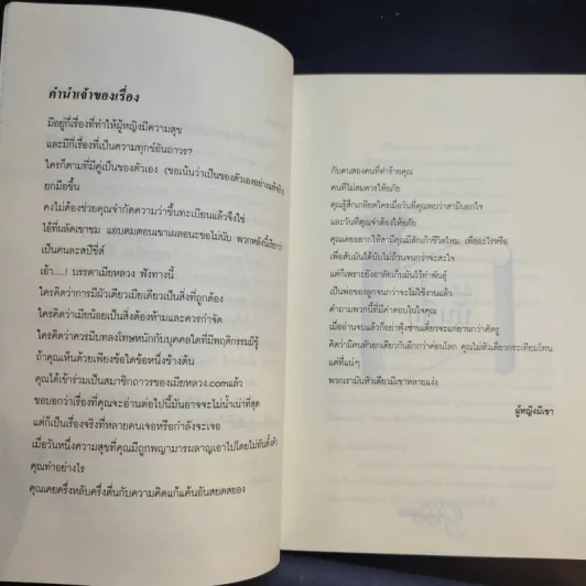 บันทึกลับเมียหลวง คำสารภาพและคราบน้ำตา รูปที่ 10