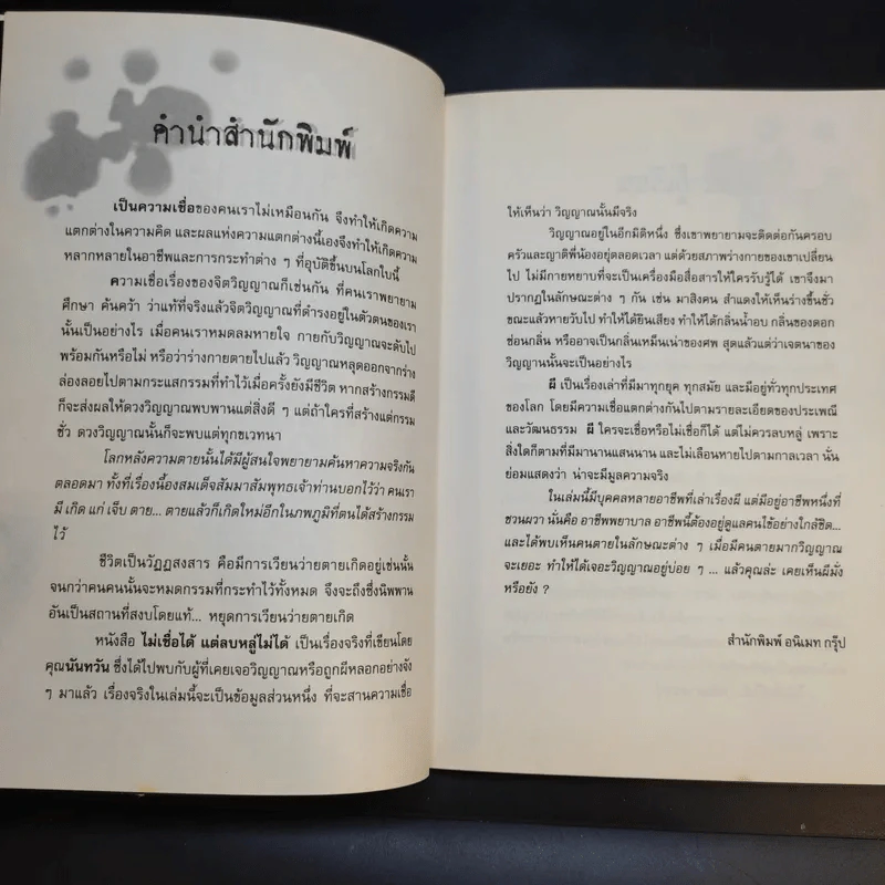 ไม่เชื่อได้ แต่ลบหลู่ไม่ได้ - นันทวัน รูปที่ 10